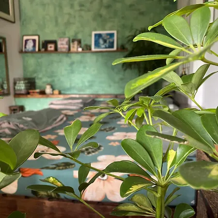 Co Cun Homestay/ Handmade/ Artwork Buon Ma Thuot Exterior photo